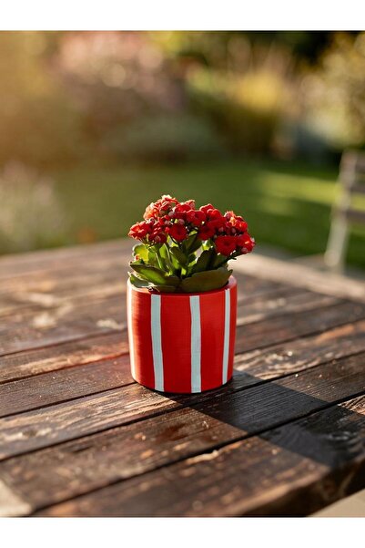 rilind El Yapımı El Boyaması Taş Tozu Sukulent&Kaktüs Saksısı 9 cm