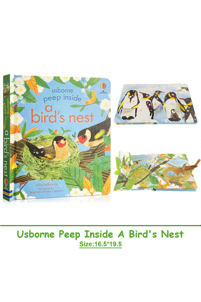 Choice عش طائر - أوسبورن - ألقِ نظرة داخل عش طائر - كتاب مصور باللغة الإنجليز...