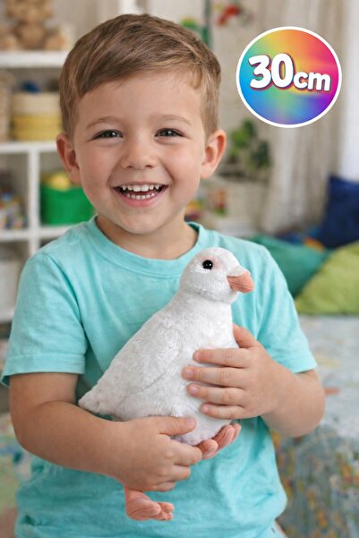 TOYFEST حمامة قطيفة 30 سم