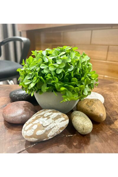 FB Cup نبات أخضر صناعي حديث باللون الرمادي أزرق بلون الكوبالت - لمسة طبيعية ل...