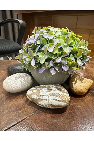 FB Cup زهرة صناعية من نوع كالانشو ميني لتزيين الطاولة أزرق بلون الكوبالت نبات...