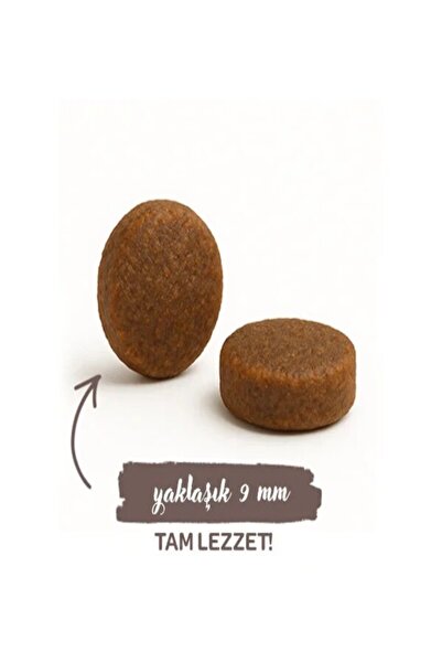 Genel Markalar Sensitive Hassas Kuzulu Yetişkin Kedi Maması 400 Gr