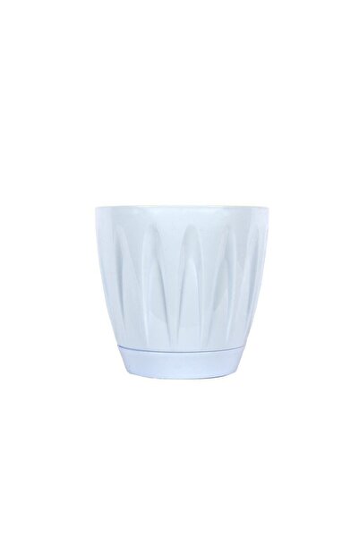 SERİNOVA Papatya Tabaklı Saksı 3 Lt - Orta Boy Modern Tasarım Çiçek Saksısı