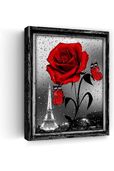ALAYRA International Graffiti Canvas Wall Art 40x60cm Colorful Urban Wall Dec...