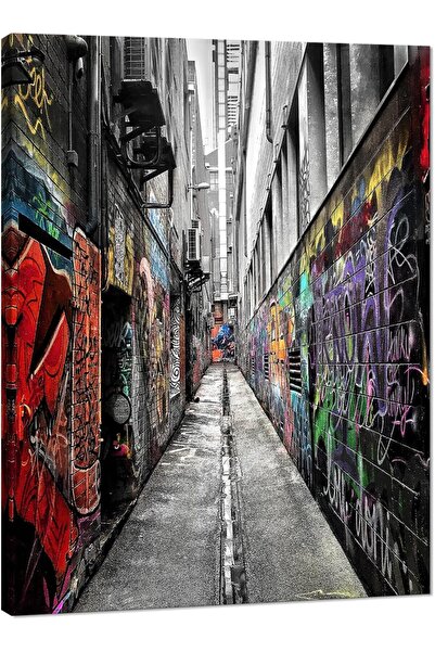 ALAYRA International لوحة جدارية كبيرة من قماش الجرافيتي 60 × 80 سم، ديكور جد...