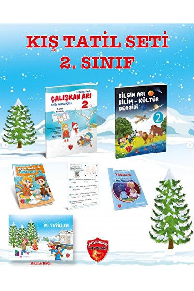 Çalışkan Arı Yayınları Çalışkan Arı 2. Sınıf Kış Tatil Seti