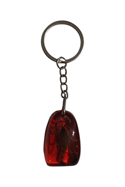 Caglastore Orjinal Akrep Fosilli Anahtarlık