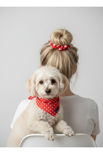 Patiset Red Stars Women's Hair Clip - Poplin Fabric for Mother/Pet Combination