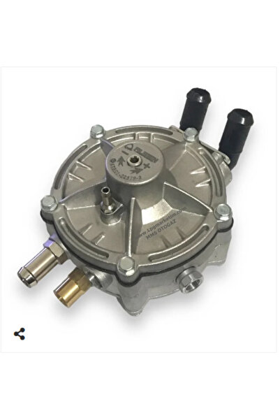 ALBİEN - Atiker, AKL, Mimgas, Landirenzo, BRC, Zavoli, Destro, Cangas Uyumlu ...