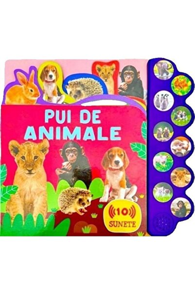 Flamingo Pui de animale. 10 sunete