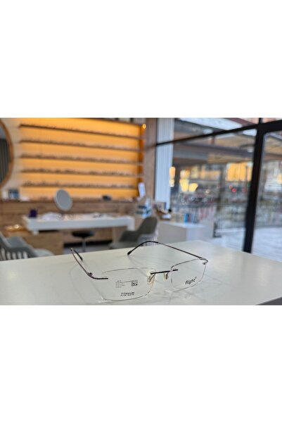 FLIGHT Fl-109 52-18-140 c5 titanyum faset ( silhouette muadili ) çerçeve ( de...