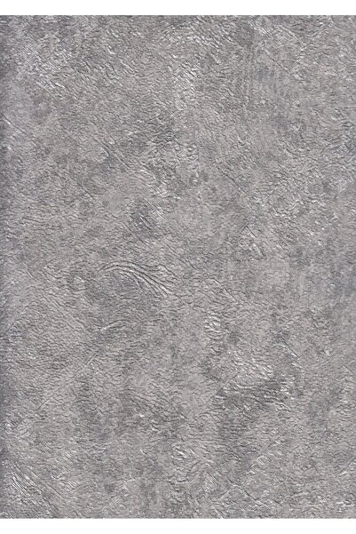 vertu Modern Dekoratif Sıva Görünümlü Silinebilir Duvar Kağıdı