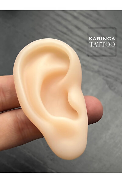 Karınca Piercing Silikon Kulak Piercing Delim Öğrenme Modeli