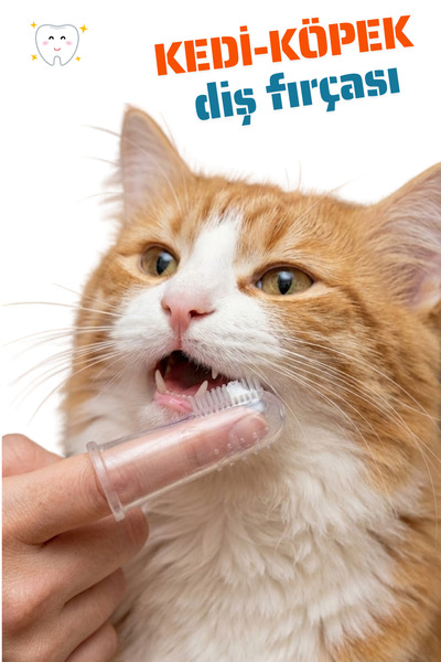 Petolojim Kedi-Köpek ve Bebek İçin Silikon Parmak Diş Kaşıyıcı Dil Temizleyic...