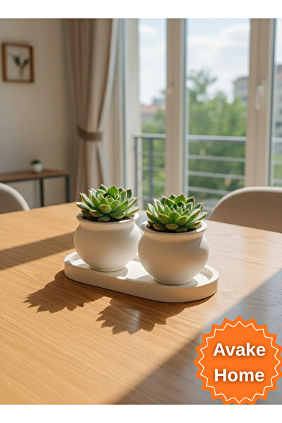 avake home SÜKULENT ÇİCEK DEKORATİF SAKSISI MERMER GÖRÜNÜMLÜ