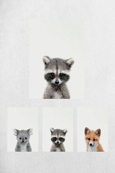 Mutluluk Atölyem A4 - 21X30 cm 3 Pieces Baby Raccoon Fox Koala Themed Poster ...