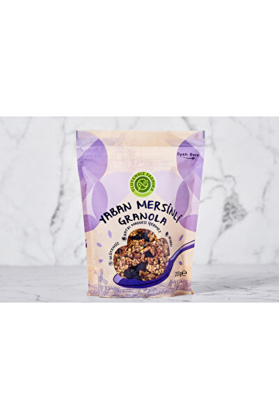 GLUTENSİZ FABRİKA Yaban Mersinli Karabuğday Granola 200g