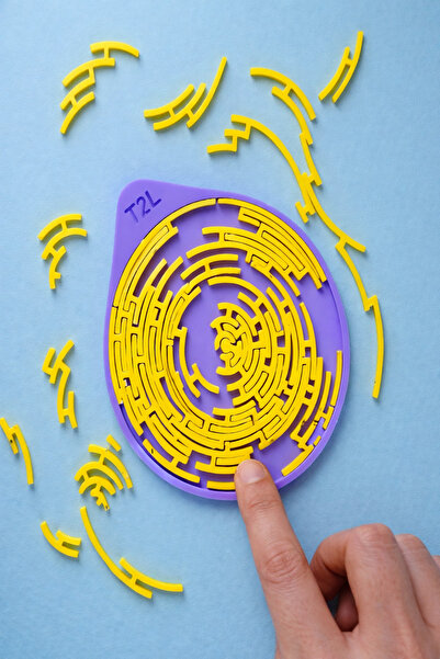 KARA3DS Zeka Geliştirici Geometrik Puzzle Oyun–Aile&Çocuklar İçin Eğlenceli M...