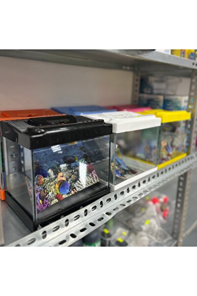 ABAYS Plastik Kapaklı Akvaryum Küçük