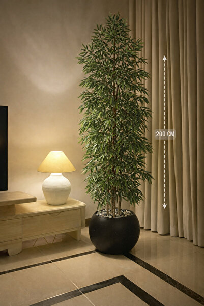 CENTRHOME شجرة البامبو بطول 200 بمركز مكور