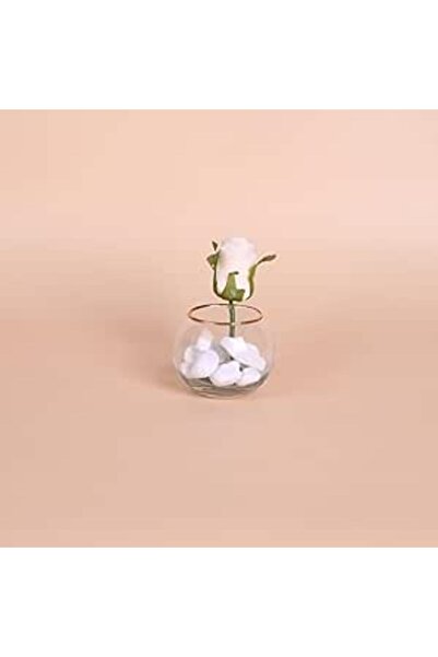 Generic مزهرية زجاجية شفافة بخط ذهبي