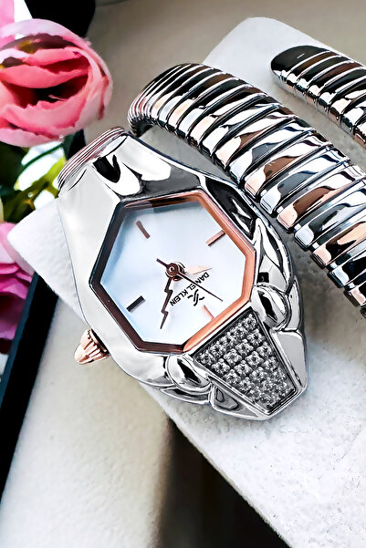 Daniel Klein Snake Watch Model - Women's Wristwatch, Waterproof Rose Silver Steel Band - Bracelet Gift Dkby2054C6