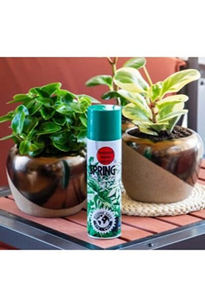 SPRİNG Plant Shine - 250 ml