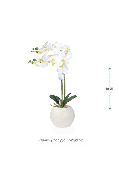 CENTRHOME شتلة صناعية محاكاة للشجر الاوركيد الطبيعي بطول 60 سم بمركن مكور