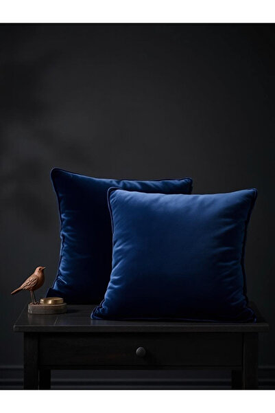 FARCY 2-Piece Square Soft Textured Velvet Fabric Throw Pillow Cover (2 Pieces)