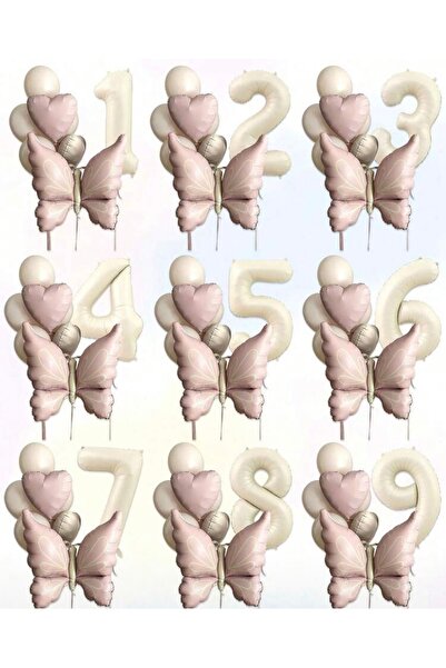 Öztürkpartievi Retro Butterfly Themed Foil Balloon Set with Numbers – Birthday & Baby Shower with Powder Heart Balloons