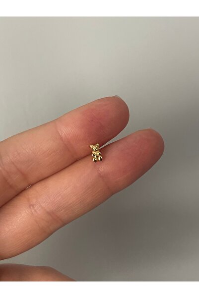 denizden silver Minimal ayıcık gümüş piercing