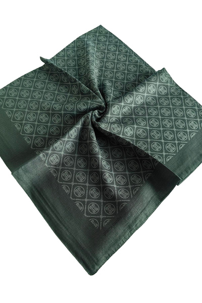 Pierre Cardin Elegant Scarf 1090750-953