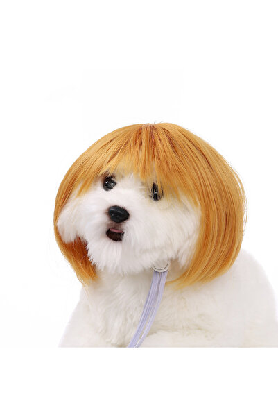 Choice كما هو موضح، شعر مستعار قصير مضحك للحيوانات الأليفة، زي تنكري للكلاب، ...