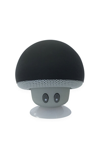 DUTRIEUX مكبر صوت بلوتوث لاسلكي عالي الجودة باللون الأسود، بمدى لاسلكي يصل إلى 30 قدمًا، مزود بمضخم صوت فرعي وقاعدة تثبيت شفط.