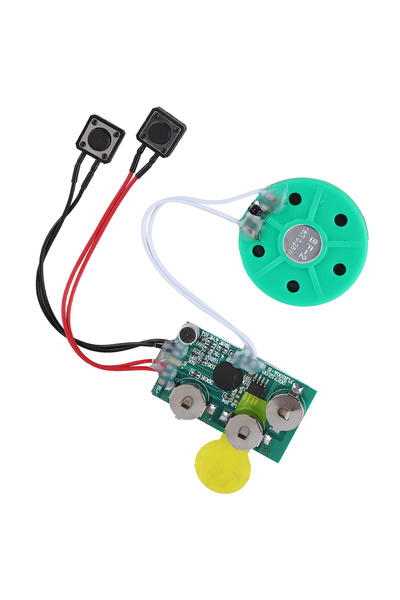 Choice بطاقة تهنئة صوتية خضراء يمكنك صنعها بنفسك، شريحة صوتية قابلة للتسجيل ل...