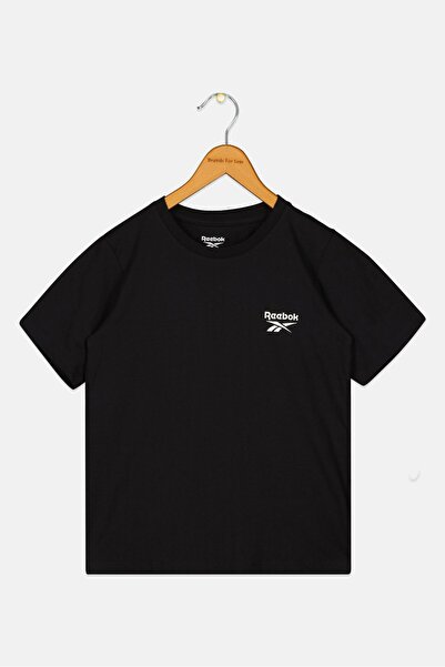 Reebok Kids Boy Brand Logo Torres Del Paine National Park T-Shirt, Black