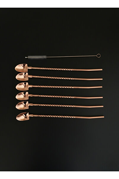 Elista 6-Piece Bronze Latte Spoon with Straw, Cocktail Spoon and Cleaning Brush, 22 cm Paddle