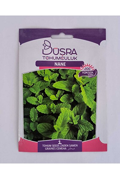 Öztürk Fide NANE TOHUMU