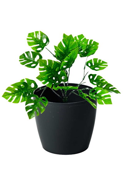 Other Doniczka plastikowa 18x16cm Czarna osłonka dekoracyjna Magnolia