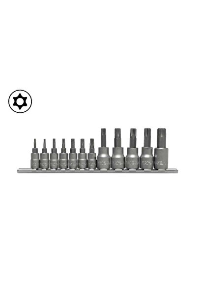 yato SET CHEI TORX CU GAUZĂ PE SINĂ 12 buc.