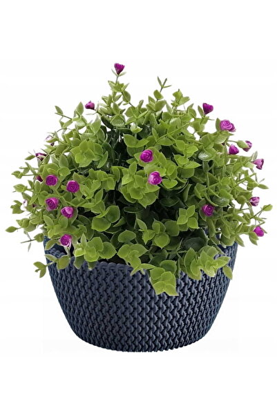 Other Doniczka okrągła misa plastikowa SPLOFY 23,6 cm antracyt