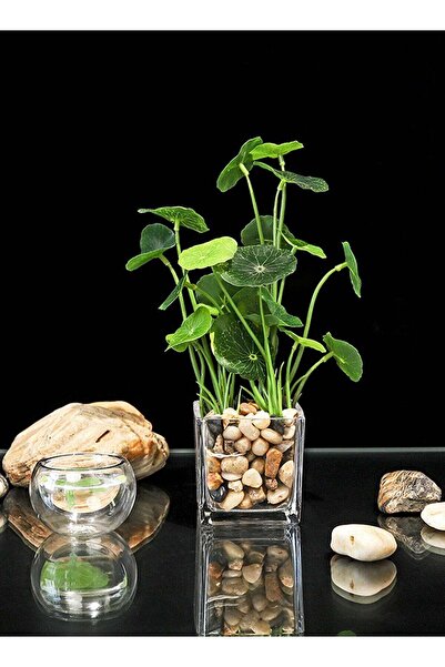 Arabest نباتات خضراء اصطناعية إبداعية بأوراق خضراء، محاكاة ديكور منزلي في أصيص للمكتب