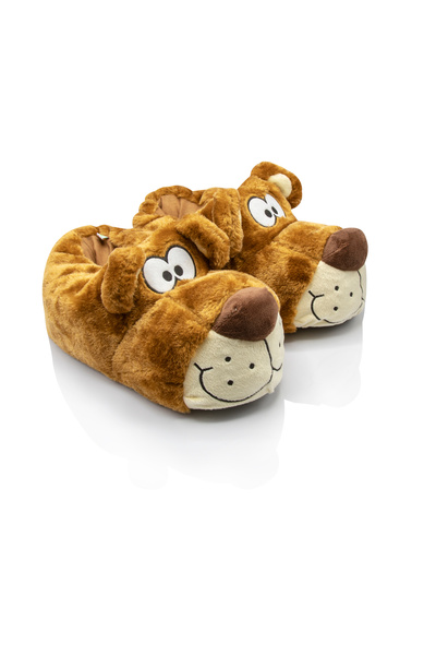 Twigy Brown Boy's Home Shoes Tw Fibert