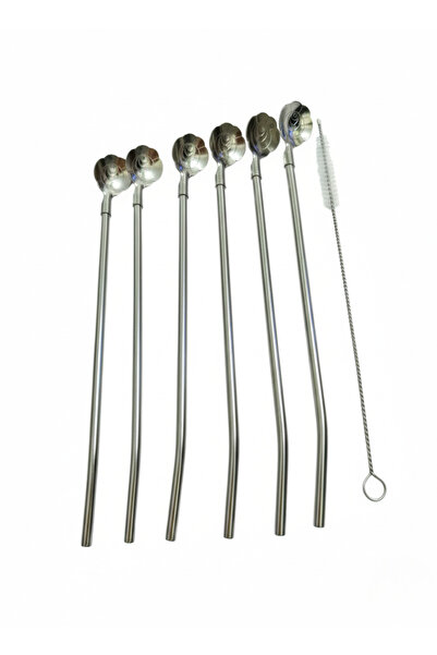 Elista 6-Piece Stainless Chrome Latte Spoon with Straw, Cocktail Spoon and Cleaning Brush, 22 cm Rose