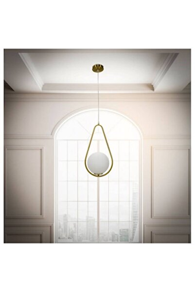 trandafi led Modern Decorative Pendant Lamp, Nordic Minimalist Style