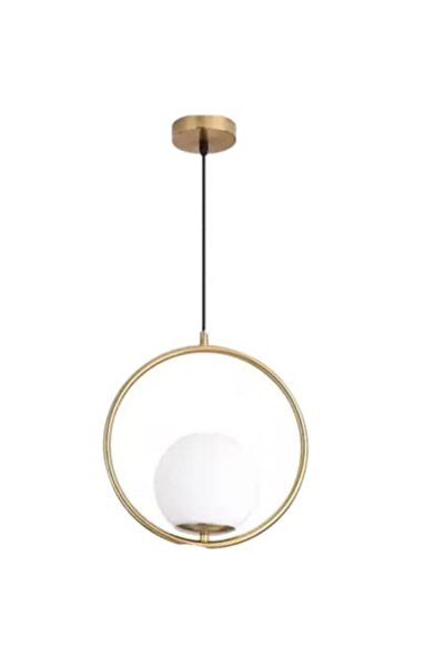 trandafi led Modern Decorative Pendant Lamp, Nordic Minimalist Style
