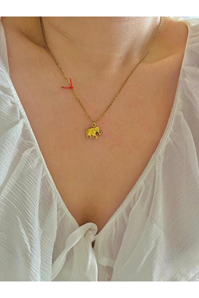 sirius jewelry 316L Çelik Şans Fili Kolye