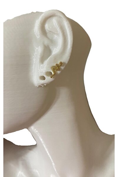 GÜLNAR BİJUTERİ TAŞLI YILAN TASARIM KIKIRDAK TRAGUS HELİX PEARSİNG KÜPE (HEDİ...
