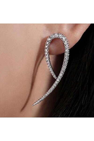 Pursehuit Cercei de culoare argintie cu pietre de zirconiu, Nansy C14