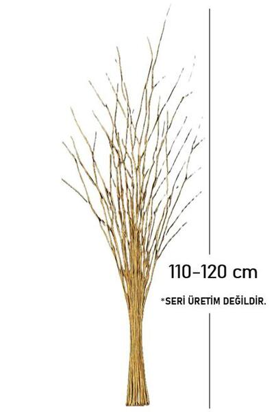 Senseist Botanicals Dekoratif Kuru Dal | Kalın Meşe Dal Demeti | El İşçiliği ile Boyama | Yaldızlı Gold | 110–120 cm